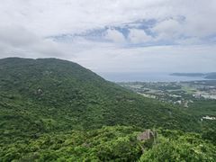 -三亚亚龙湾人间天堂鸟巢度假村
