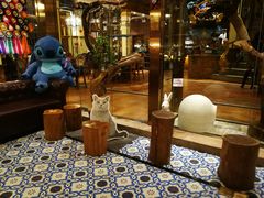 -more than meow吴止猫主题餐厅(承德 中船汇店)