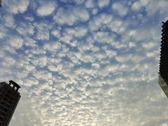 -BreadTalk面包新语·烘焙蛋糕(海珠丽影广场店)