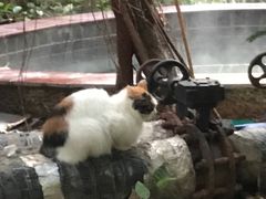 -龙达温泉生态城