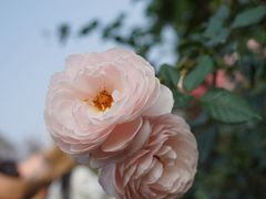 -人民公园(罗湖区)