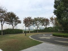 -月湖风景区