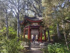 -香山公园