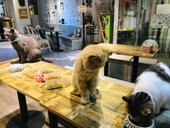 -小时光咖啡馆(开森度假森林店)