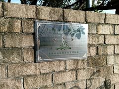 -嘉定紫藤园