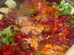 -师烤·豆花烤鱼(广州荔湾扬韬广场店)