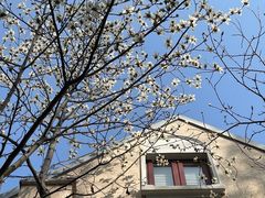 -颐和路民国时期公馆风貌区