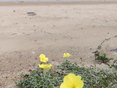-青澳湾北回归线广场