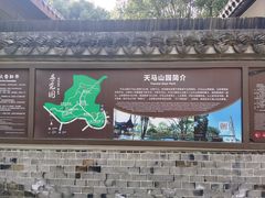 -上海佘山国家森林公园天马山园