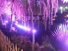 -金栗王(清扬路店)