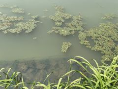 -东钱湖旅游度假区