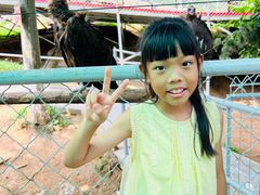 -西霞口神雕山野生动物世界