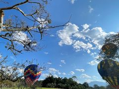-中国科学院西双版纳热带植物园