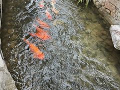 -前童古镇