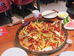 -老板恋上鱼(高新万达店)