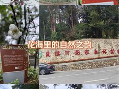 -广州市流溪河国家森林公园