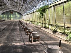 -前小桔亲子创意农场·草莓采摘·露营烧烤