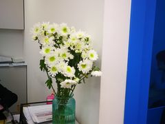 -英孚教育青少儿(河东资深教研中心)