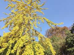 -北寺塔