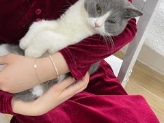 -李小姐の猫咖啡馆(五角场店)