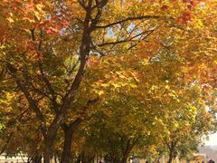 -辽宁大学(崇山校区)