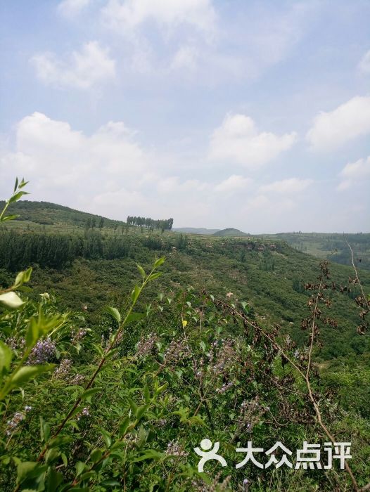 天谷·天然地下画廊-图片-沂水县周边游-大众点评网