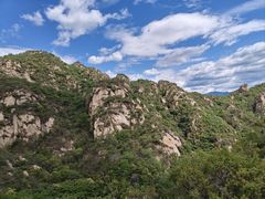 -大岭沟猕猴桃谷风景区
