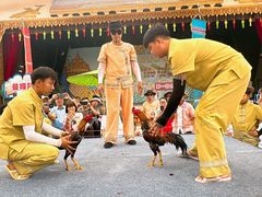 -西双版纳傣族园