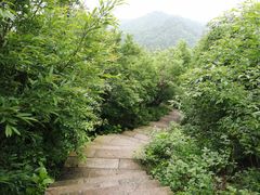 -敬亭山风景名胜区