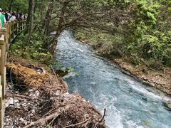 -九寨沟-树正沟