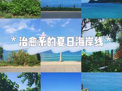 -杨梅坑