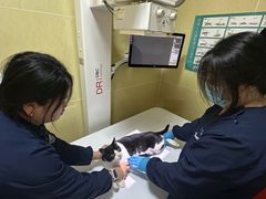 -瑞派天使宠物医院·神经外科·骨科·核磁CT(洛川中路店)