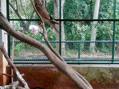 -广东茂名森林公园