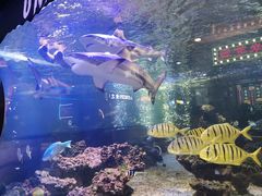 -凯德广场(学府店)