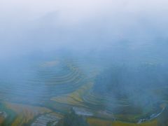 -紫鹊界梯田景区