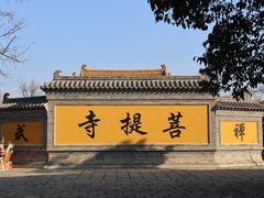 -台儿庄古城