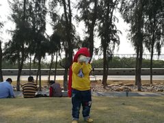 -宝安西湾红树林湿地公园