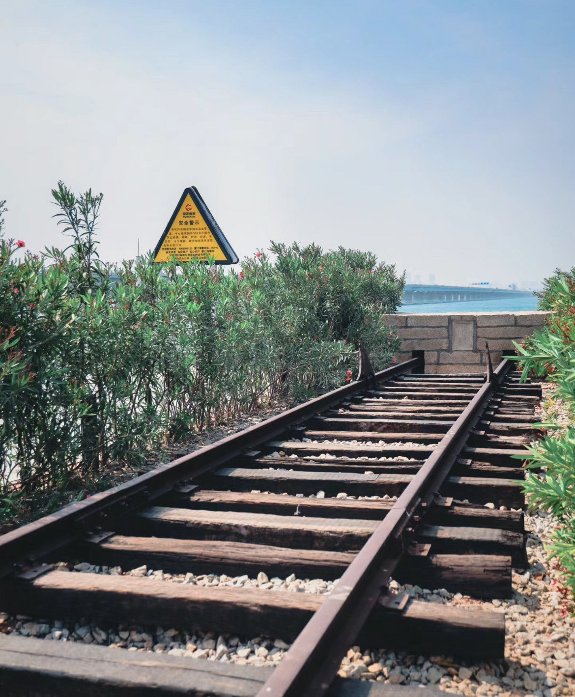 属于厦门的小镰仓"!真的美炸了!