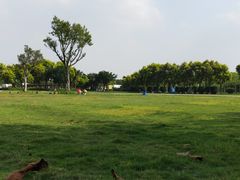 -广东花都香草世界旅游度假区