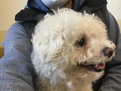 -美联众合动物医院·24h转诊中心