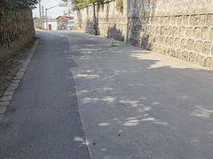 -上海佘山国家森林公园天马山园