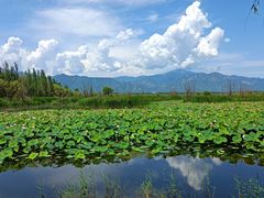 -野鸭湖国家湿地公园