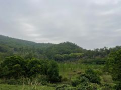 -东莞市大岭山森林公园