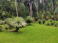 -中国科学院西双版纳热带植物园