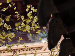 -苏州文庙(姑苏区)