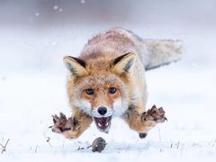 -友唱全民k歌(新中关购物中心店)