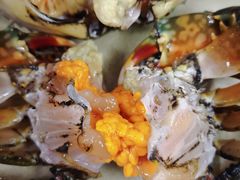 膏蟹-台山侨雅海鲜粥底火锅(台山侨雅花苑店)