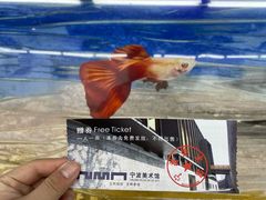 -宁波美术馆