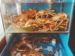 -吉友粥底火锅(方斜路店)