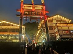 -颜氏双江清水鱼一养身火锅(磁器口店)